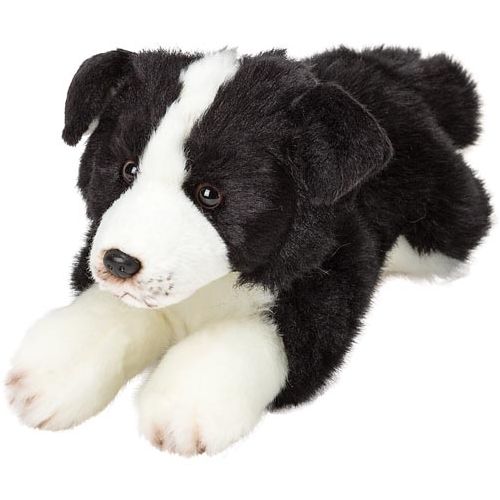 Resting Border Collie - Sweet Snuggle Pal