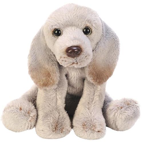 Sitting Weimaraner - Snuggle Time Buddy